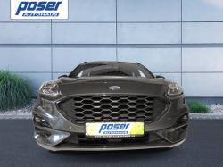 HNY74255_5.jpg HNY74255_5.jpg