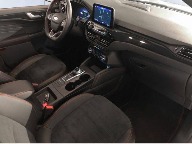 HNY74255_10.jpg HNY74255_10.jpg