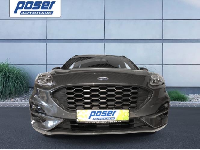 HNY74255_5.jpg HNY74255_5.jpg