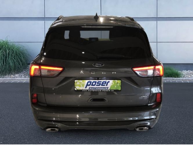 HNY74255_7.jpg HNY74255_7.jpg