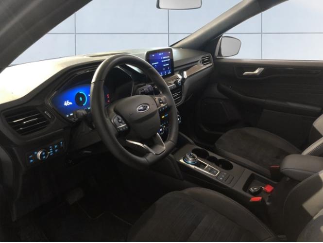 HNY74255_8.jpg HNY74255_8.jpg